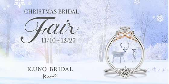 Christmas Bridal Fair 