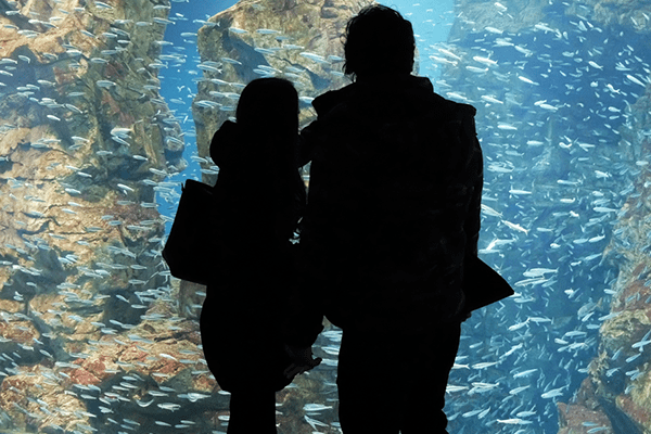 水族館の画像